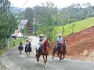 Cabalgata nacional en Ocoa: más de 800 caballos y otros animales participan en Rancho Arriba