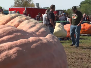 Calabaza rompe récord mundial al superar las 3,000 libras