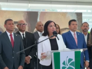 FP rechaza muertes por intercambio de disparos: La política de seguridad del PRM ha fracasado