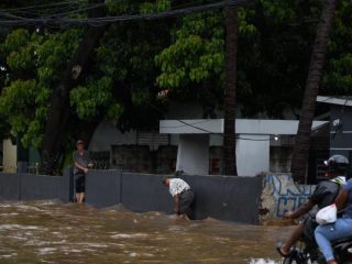 Leptospirosis: La crisis de salud pública que cobra vidas y exige acción inmediata