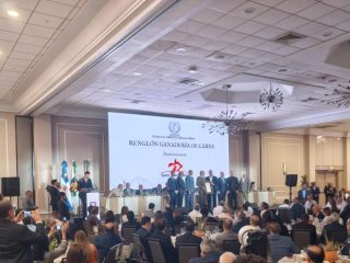 Presidente Abinader distingue a productores agropecuarios en acto estatal